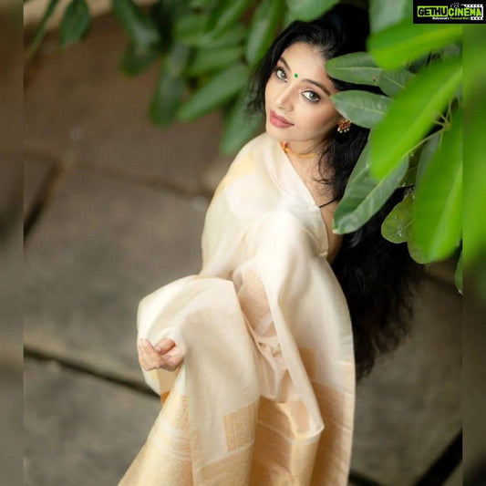 Silk Saree with Rich Pallu & All-Over Jacquard