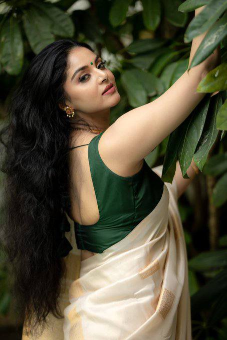 Silk Saree with Rich Pallu & All-Over Jacquard